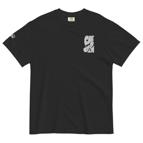 Chosen T-shirt
Christian Unisex Apparel